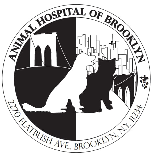 Animal Hospital of Brooklyn Logo